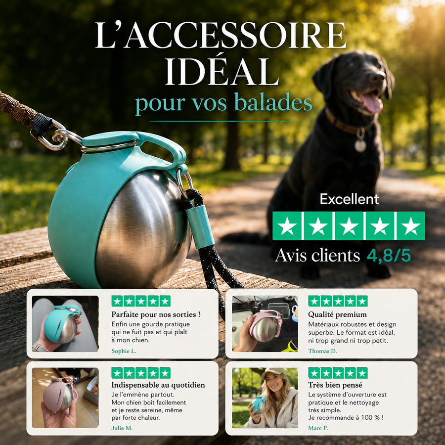 Gourde Chien
