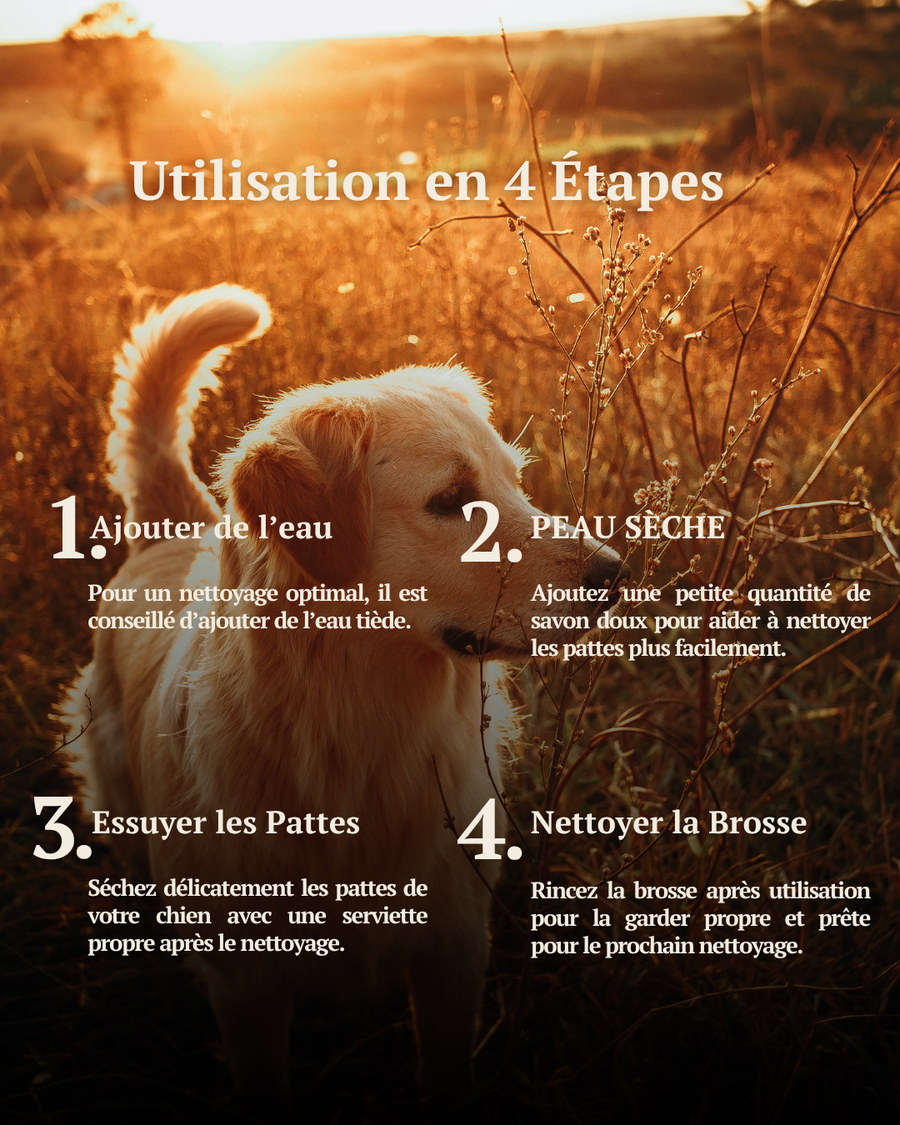 Nettoyeur de pattes pour chien
