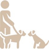 Spécialiste deux chiens