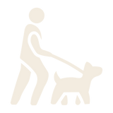 Spécialiste deux chiens